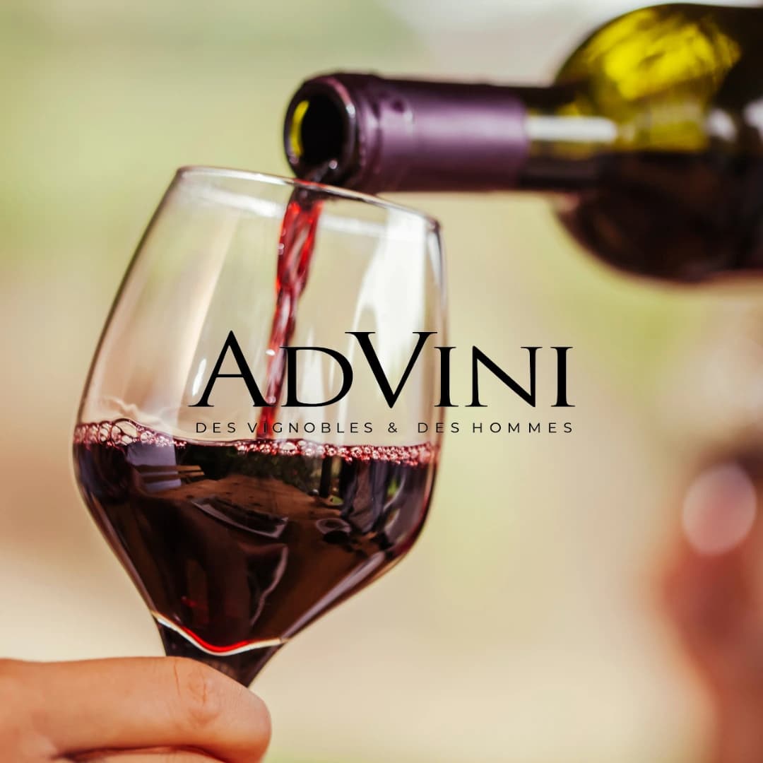 Advini, le leader des vins de terroirs revoit sa stratégie produit avec Quable