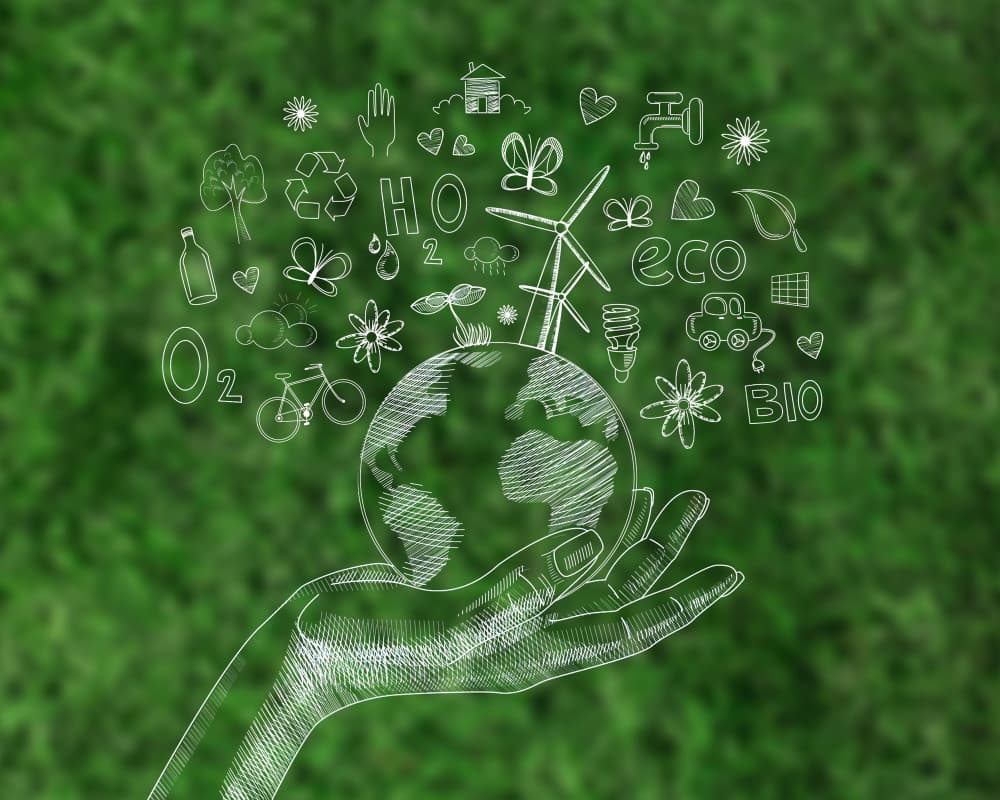 7 conseils pour un e-commerce écologique