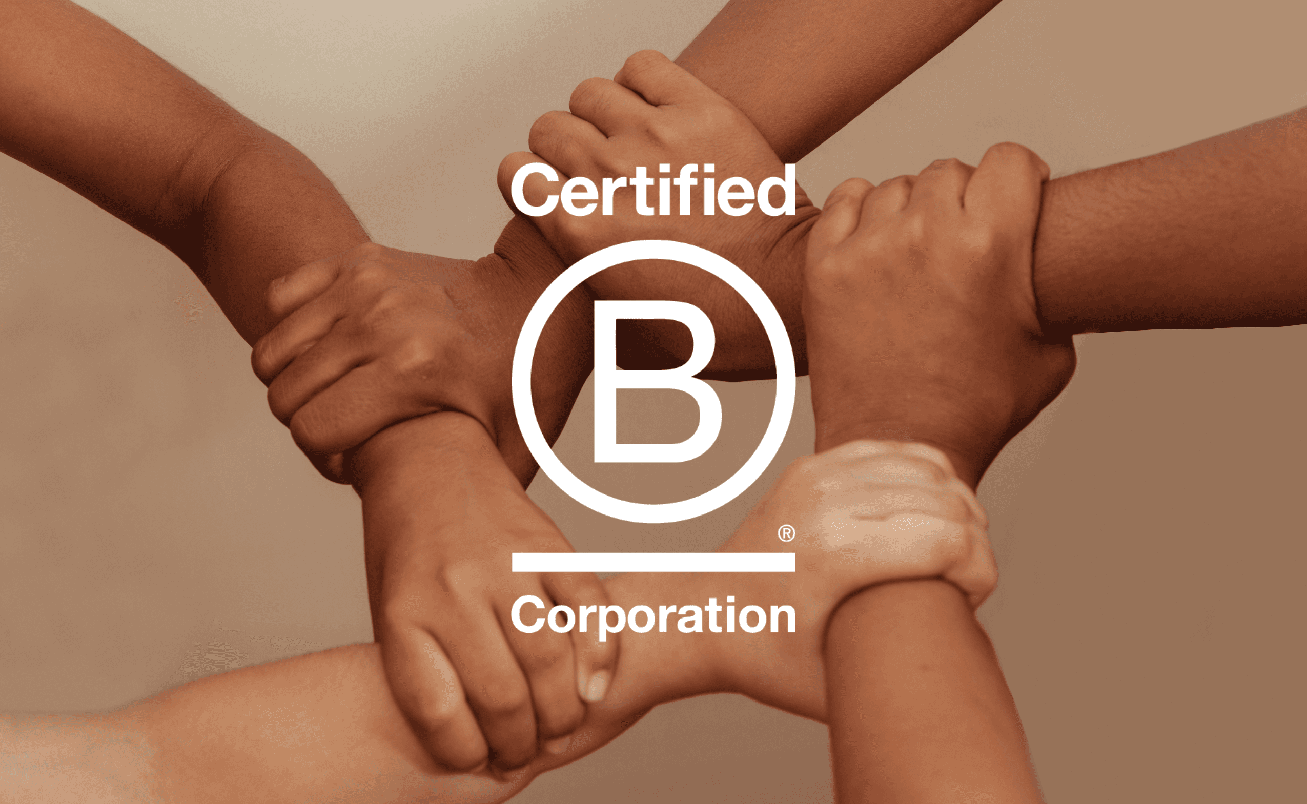 Interview CEO : Comment Zento est devenue B Corp ?
